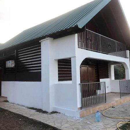 Holiday Home Skadar Lake Arbnes Exterior photo